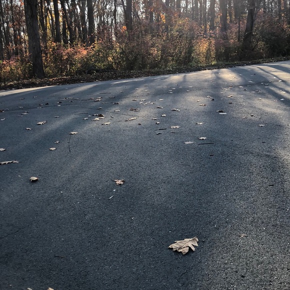 Meet your Posher, Thomas - Picture 1 of 1